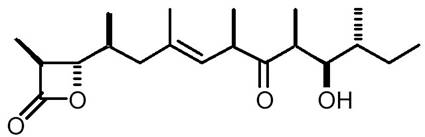 Description: ebelactone.jpg